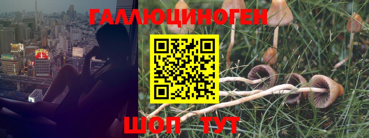 Псилоцибиновые грибы MAGIC MUSHROOMS  Вход с VPN  Галлюциногенные грибы Cubensis  Дубна 
